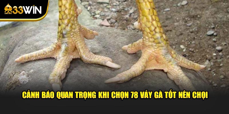 Cảnh báo quan trọng khi chọn 78 vảy gà tốt nên chọi