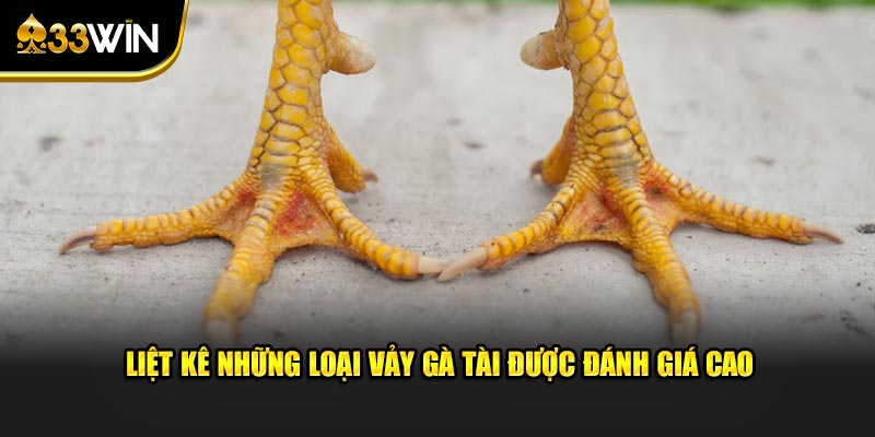 Liệt kê những loại vảy gà tài được đánh giá cao