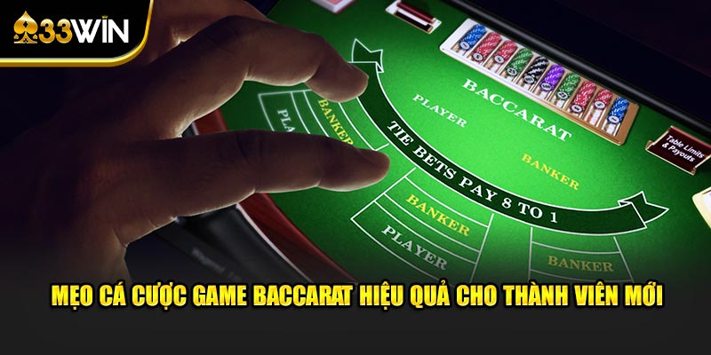 Mẹo cá cược game baccarat hiệu quả cho thành viên mới