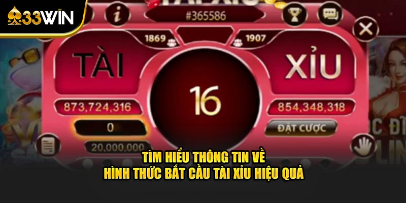 Tìm hiểu thông tin về hình thức bắt cầu tài xỉu hiệu quả