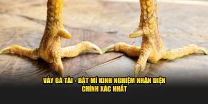 cách xem vảy gà tài