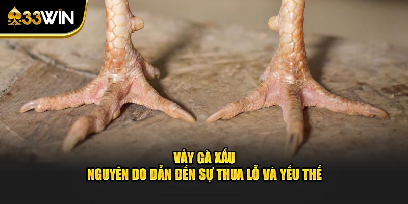 vảy gà xấu